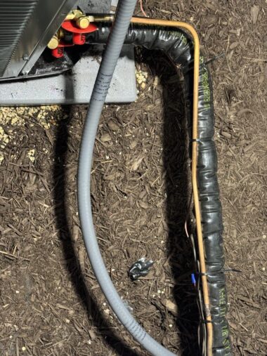 IMG_9242-Medium-rotated